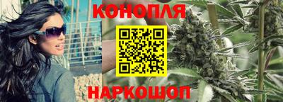 ешки Аргун