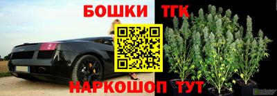 ешки Аргун