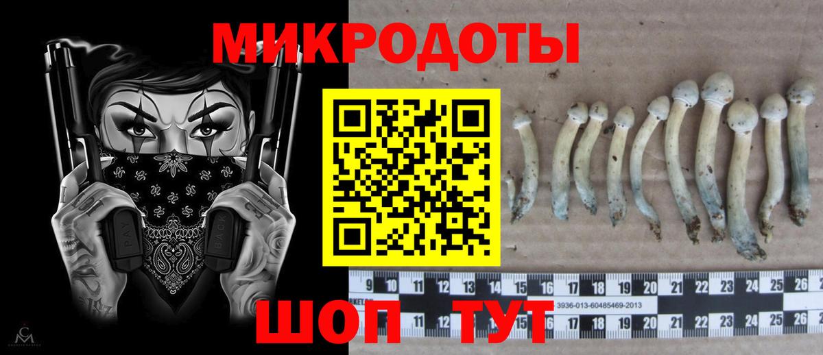 Галлюциногенные грибы ЛСД  Вход с VPN  Вязьма  Галлюциногенные грибы мухоморы 